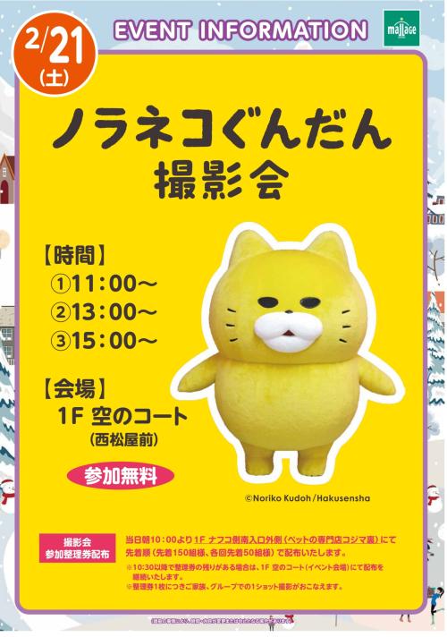 20260221_ノラネコぐんだん撮影会_page-0001.jpg