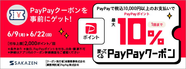 250609_paypay.jpg