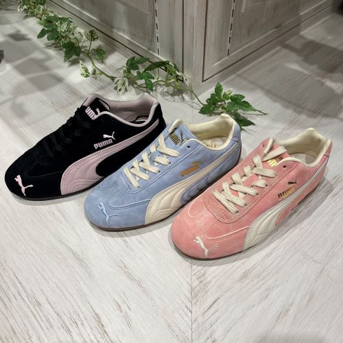 PUMA スピードキャット.JPG