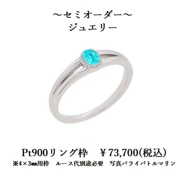 セミオーダーパライバPT枠.png
