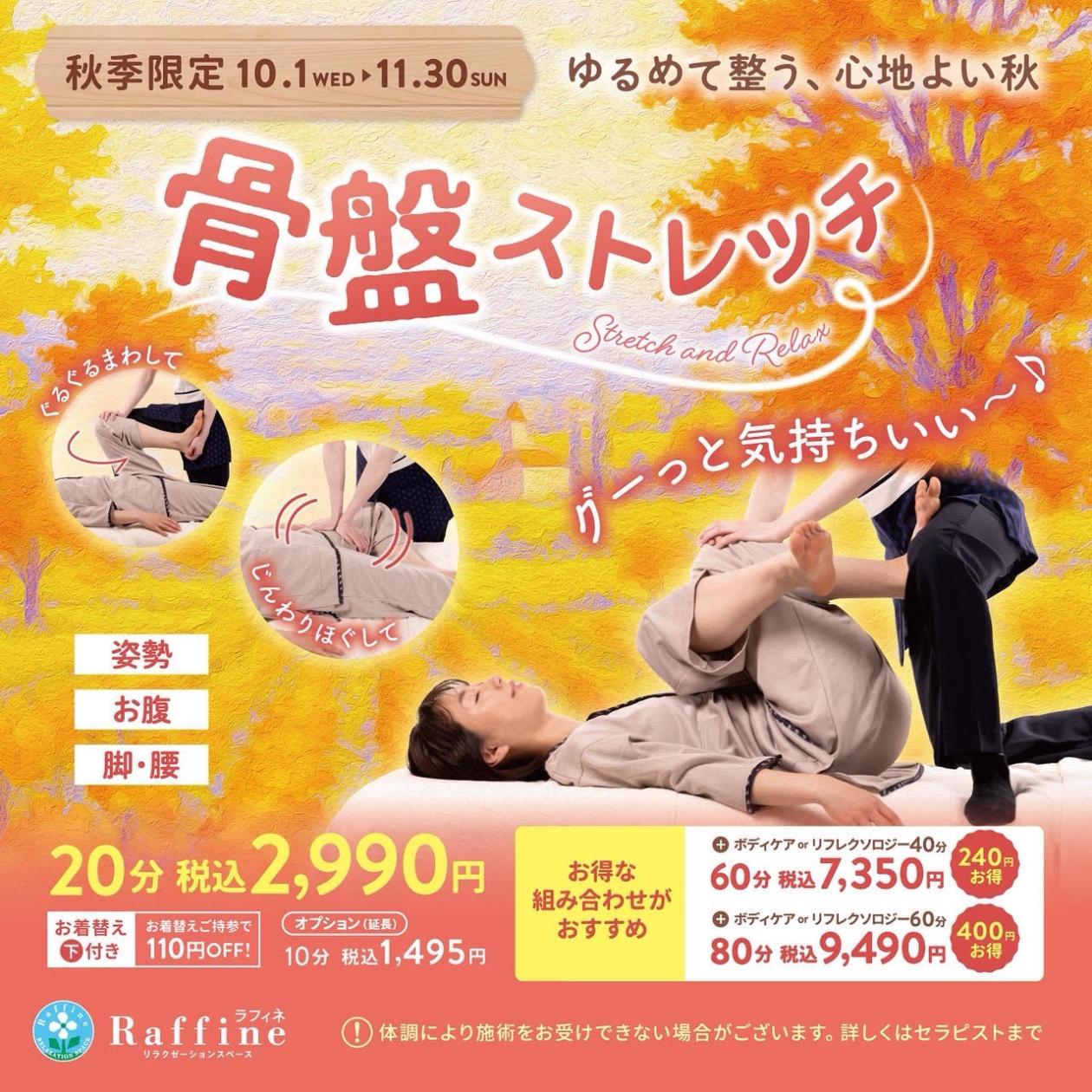 骨盤CP1.jpg