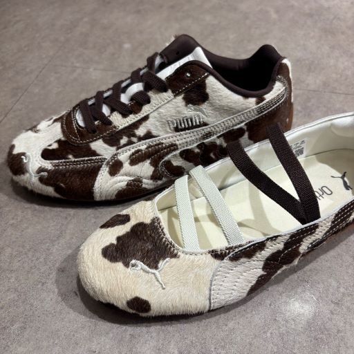 スピキャ アニマルガラ.jpeg